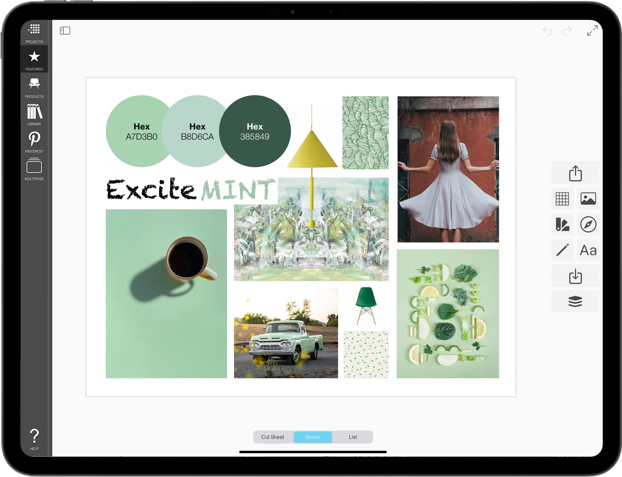 best creative mood board app for iPad_moodboard maker_moodboards_mood board maker_04_Color Scheming mood board _ Excitement
